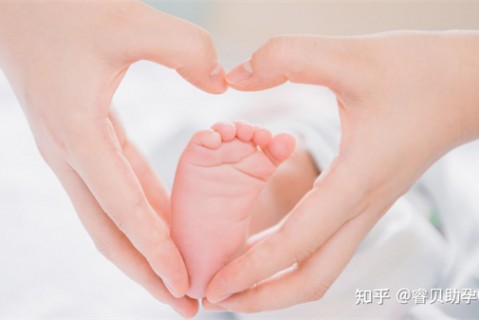 http://dongguan.51dzb.net/post/188.html|东莞新闻中心